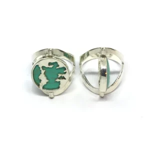 PSS309